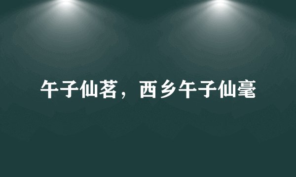 午子仙茗，西乡午子仙毫