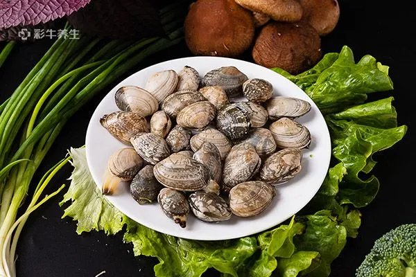 花甲怎么洗最快最干净