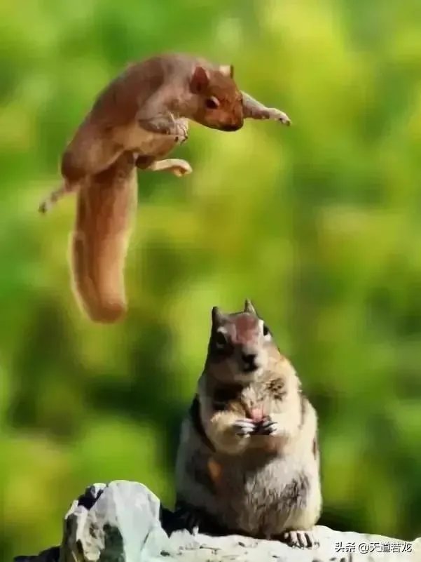 为什么国人这样关心孟晚舟能不能放回来？