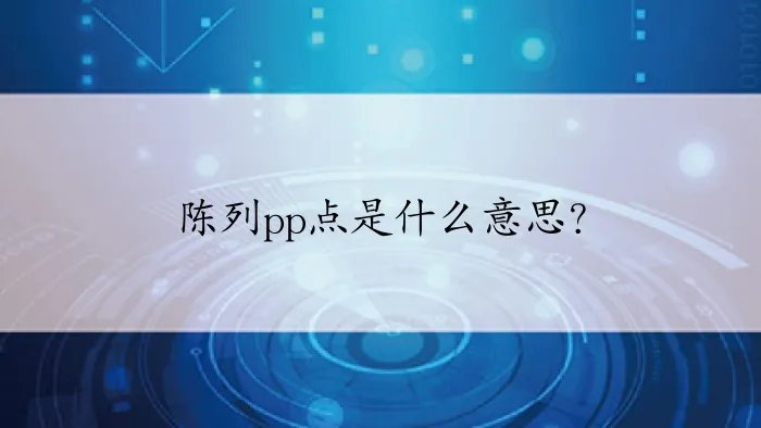 陈列pp点是什么意思？