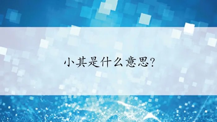 小其是什么意思？