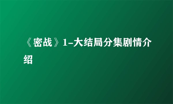 《密战》1-大结局分集剧情介绍