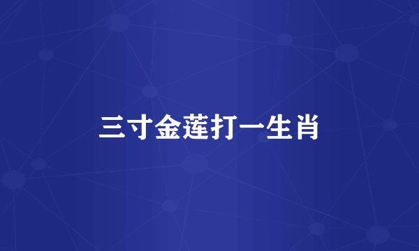 三寸金莲打一生肖