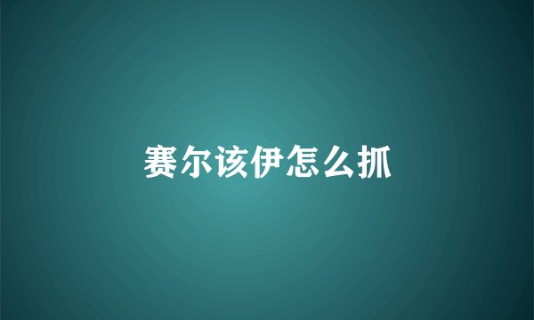 赛尔该伊怎么抓