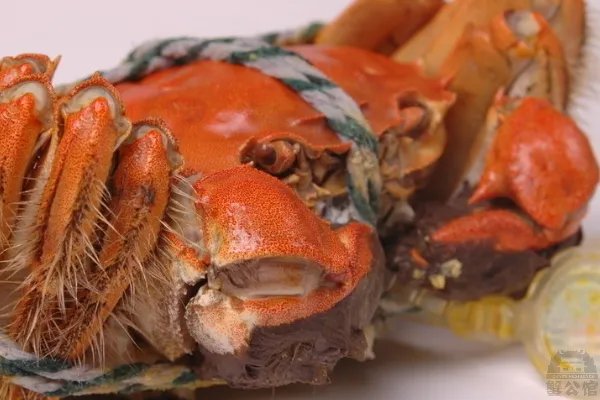 济南大闸蟹哪家好？