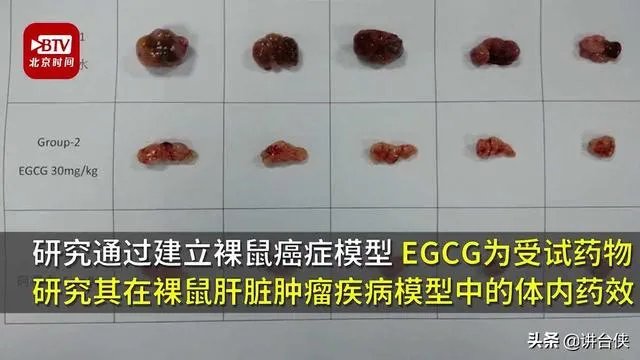 武汉又有2名小学生研究茶多酚抗肿瘤获奖,大家怎么看?