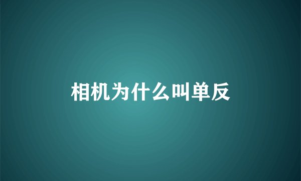 相机为什么叫单反