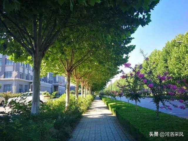 洛阳师范学院新校区怎样?