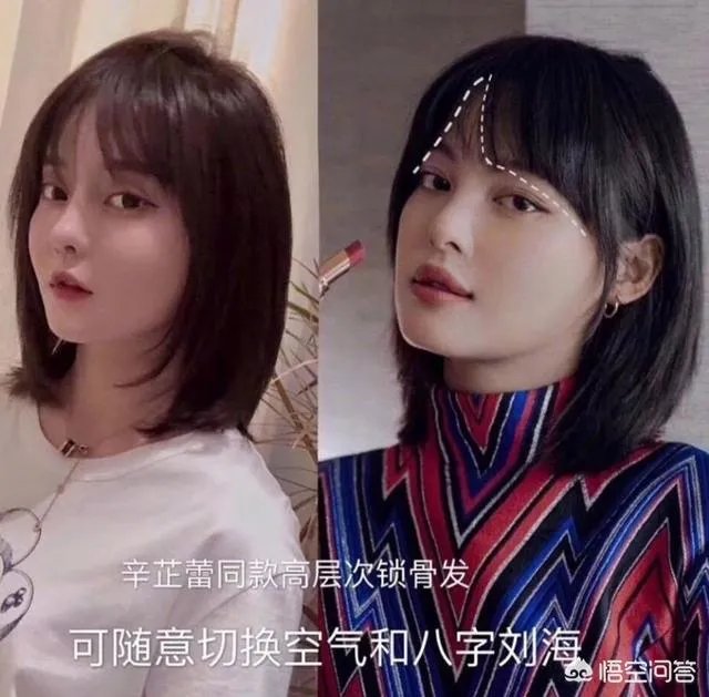 辛芷蕾的发型适合什么脸型的人？