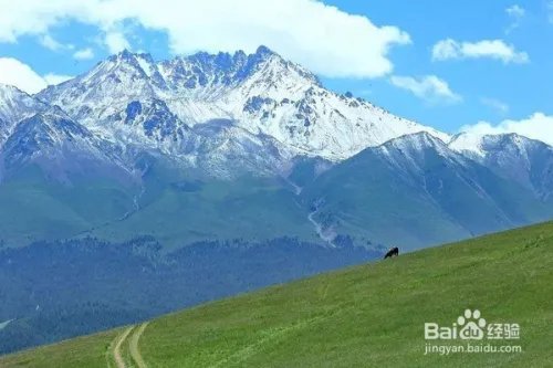 祁连山下,谁牵动了我的衣襟?