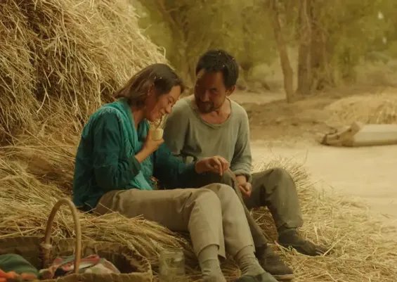 《隐入尘烟》被全网下架了，背后的原因是什么？