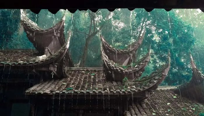 描写雨的诗句 描写雨的诗句有什么诗