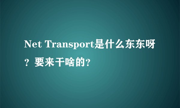 Net Transport是什么东东呀？要来干啥的？