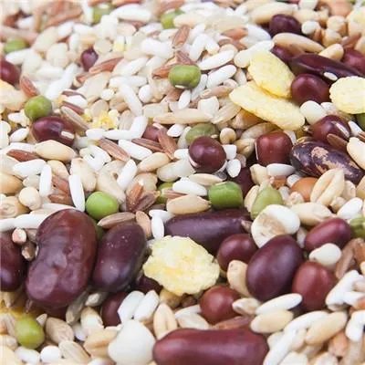 进口肺癌药有哪些