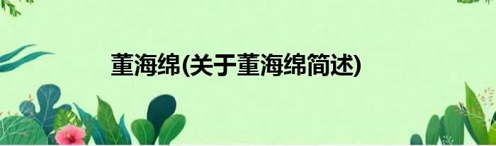 董海绵(关于董海绵简述)