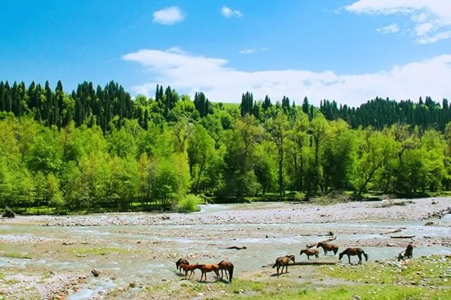 中国十大自然保护区