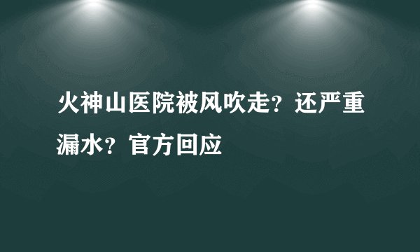 火神山医院被风吹走？还严重漏水？官方回应