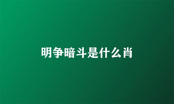 明争暗斗是什么肖