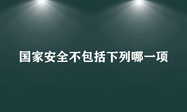 国家安全不包括下列哪一项