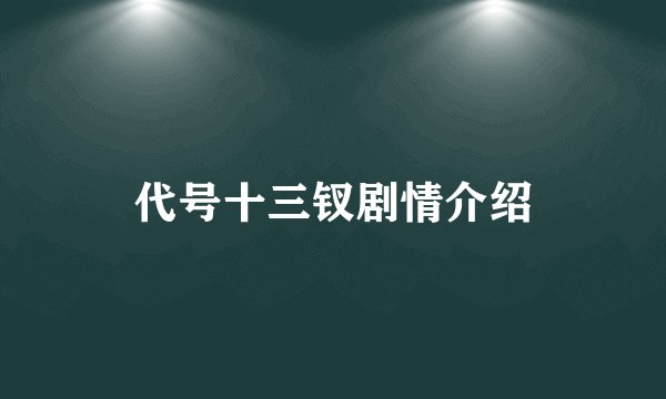代号十三钗剧情介绍