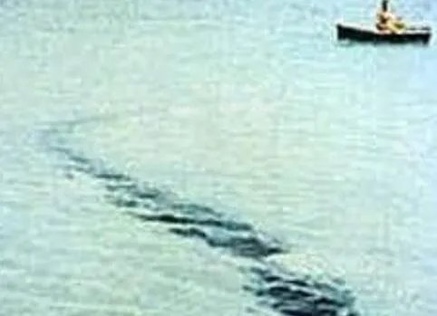 世界十大水怪排名都有哪些 最可怕的水怪真实图片