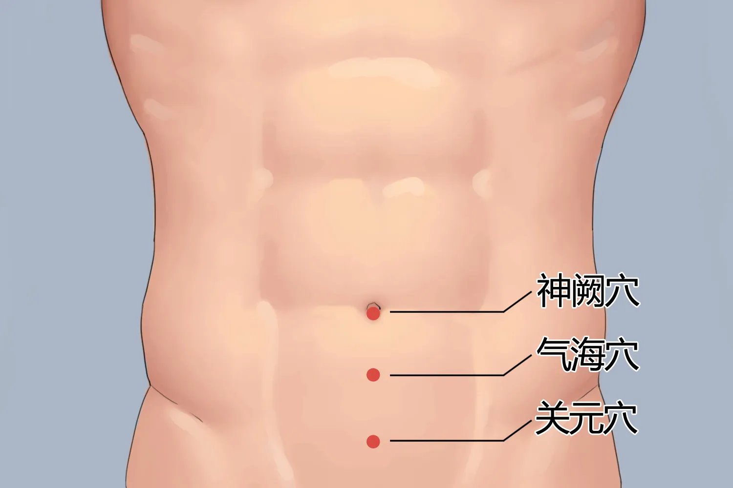 关元位置与作用和功效
