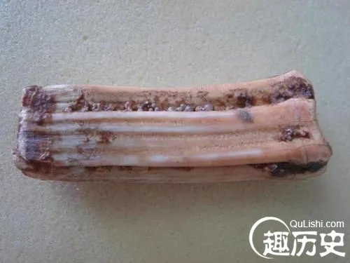 佛家的舍利子到底是什么?舍利子是什么成分