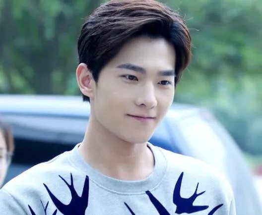 杨洋个人资料简介：杨洋家庭背景及妈妈照片曝光