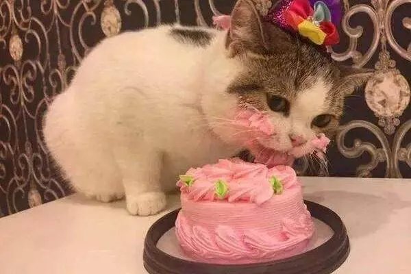 杨紫称自己忘记了妈妈的生日，你会记得家人的生日吗？