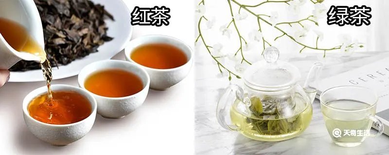 红茶和绿茶的区别