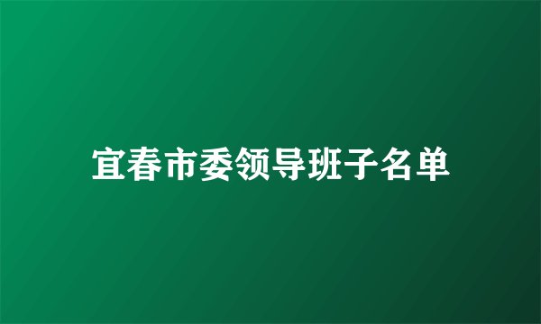 宜春市委领导班子名单