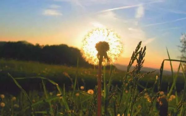 岁月静好什么意思