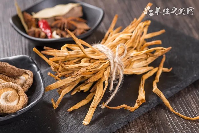 意大利扭玻利顿犬怎么样？意大利扭玻利顿犬介绍