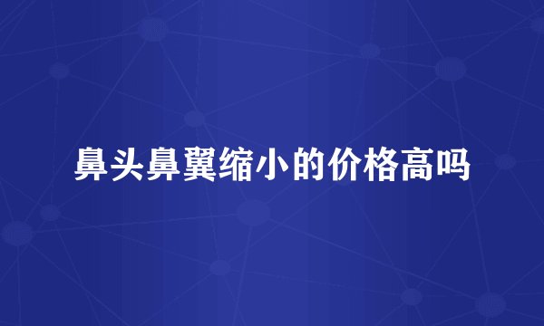 鼻头鼻翼缩小的价格高吗