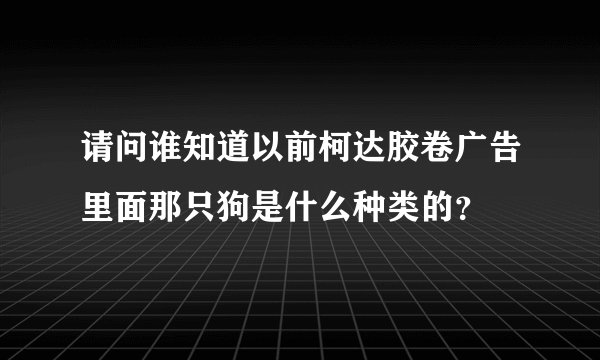 请问谁知道以前柯达胶卷广告里面那只狗是什么种类的？