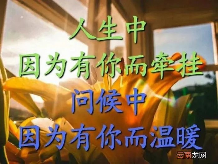 数字代表的情书 数字情书
