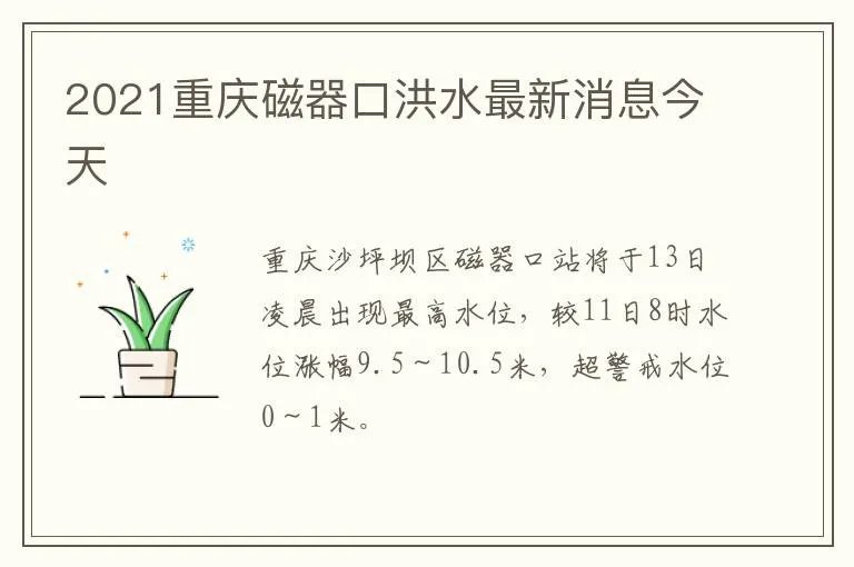 2021重庆磁器口洪水最新消息今天