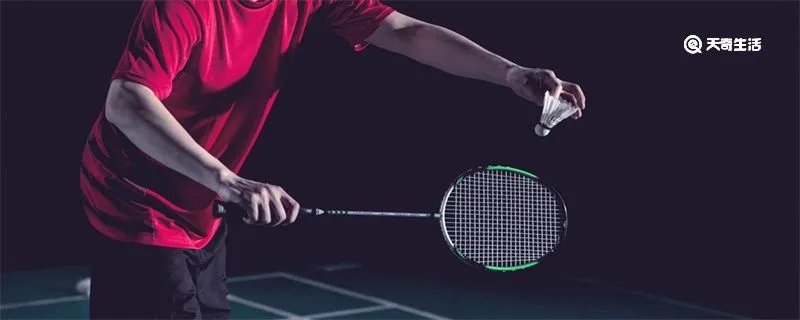 速度最快的球类运动